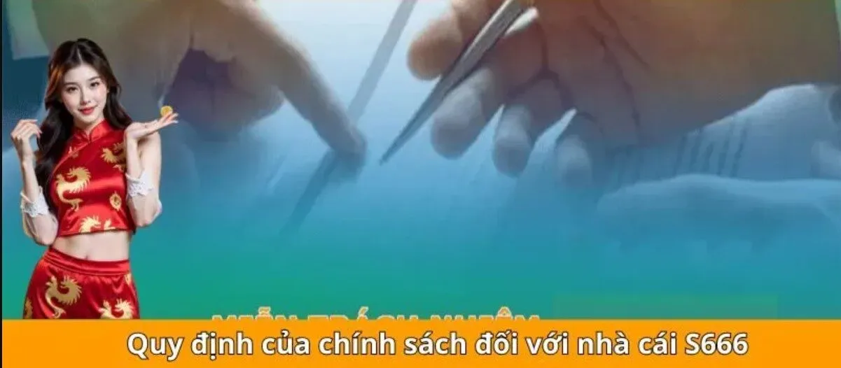 Quyền và trách nhiệm của member tại hệ thống